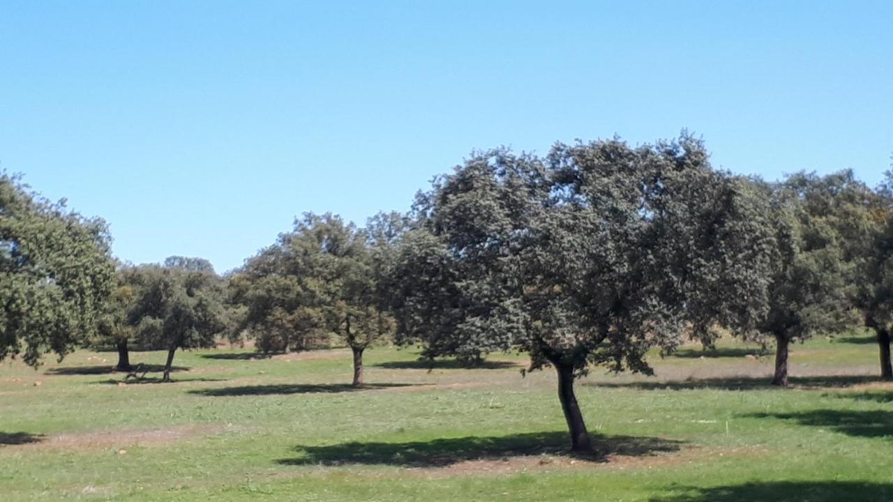 Villa Maria Vilches Esterno foto